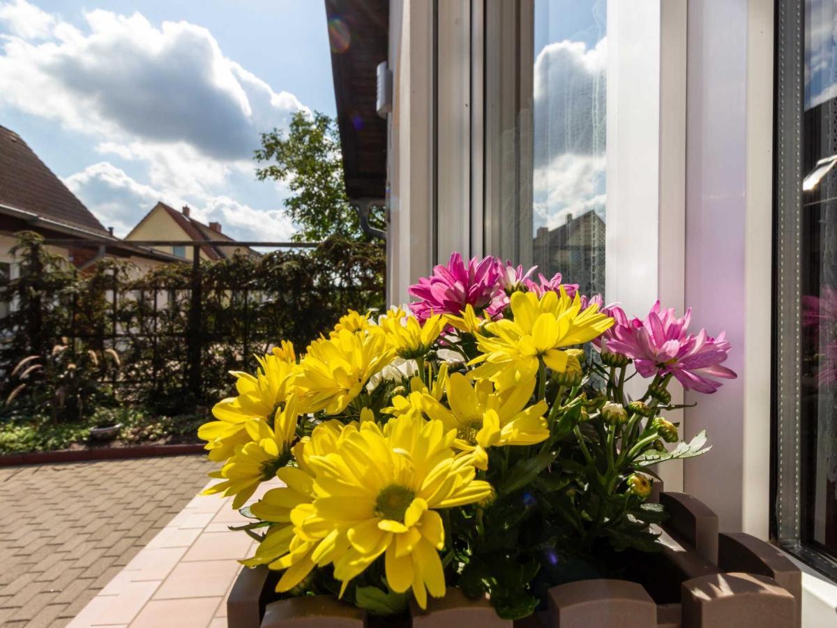 Ferienwohnung Schwarz Gademow Экстерьер фото